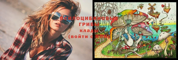jwh Арсеньев