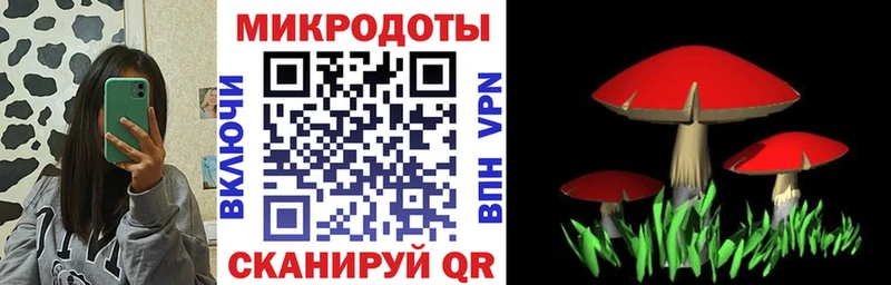 Псилоцибиновые грибы мухоморы  закладка  Луза 